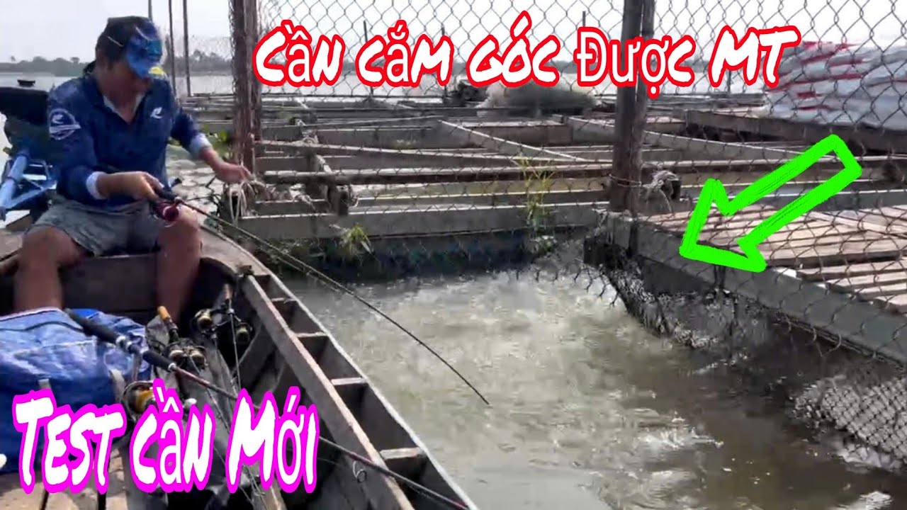 QUÁ RỒI, CẦN CẮM GÓC RA SÔNG TIỀN, CÂU TRÚNG BẦY CÁ, KÉO PHÁT MÊ , LH 0963.890.470