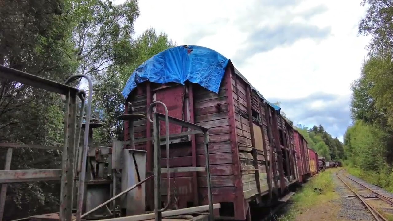 Uppställda vagnar på stickspår Hultanäs - Abandonen Railway Carries