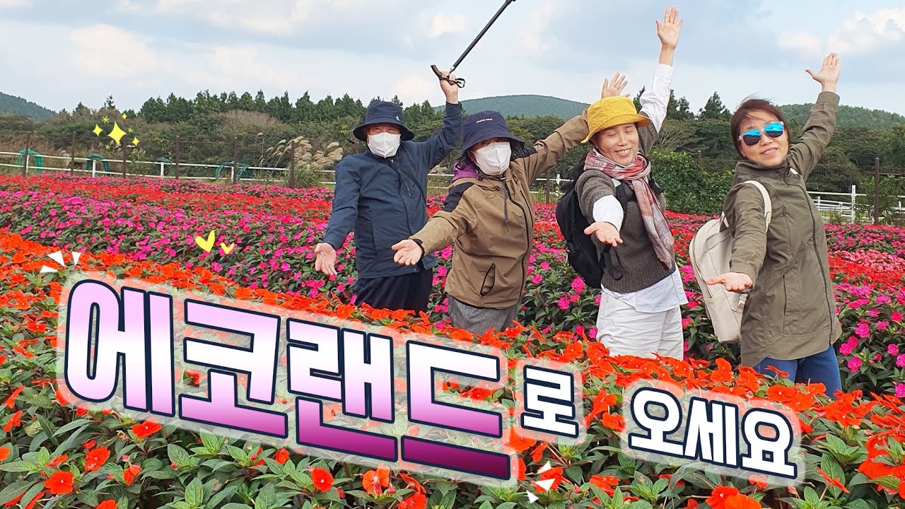 부모님과 함께하는 제주도 여행- 에코랜드