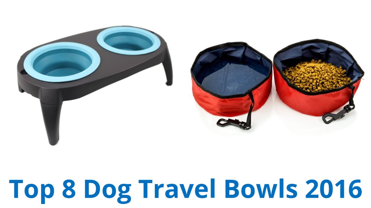 8 Best Dog Travel Bowls 2016