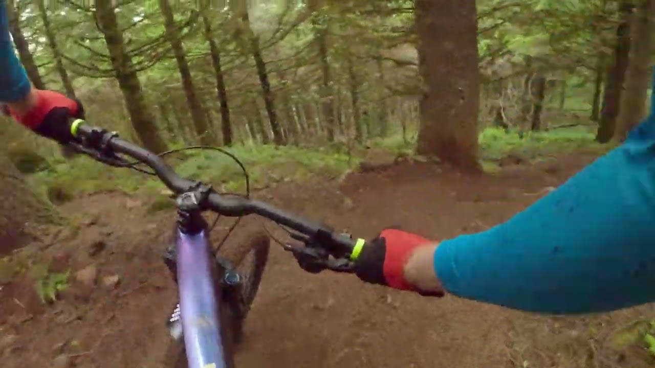 FREERIDE MADEIRA guided tour