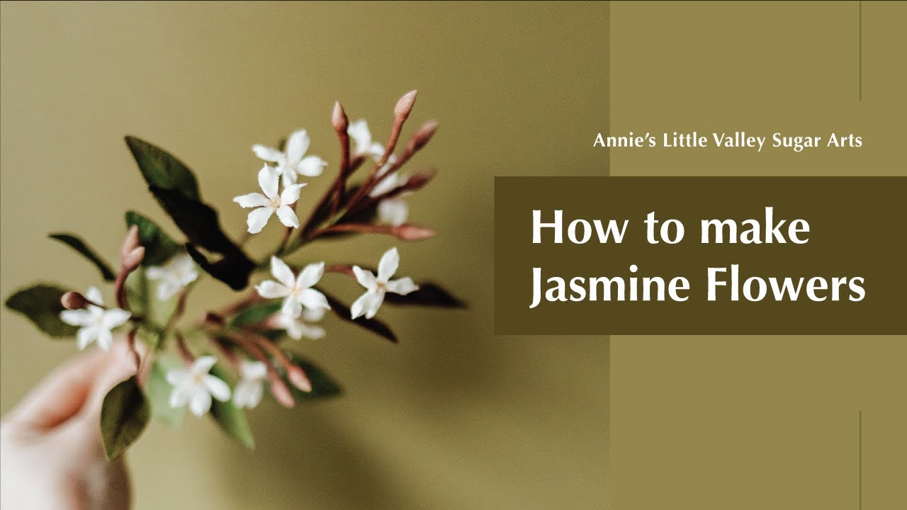 Sugar Flowers | How to make Jasmine Flowers | Annie's Little Valley | 如何製作翻糖茉莉花