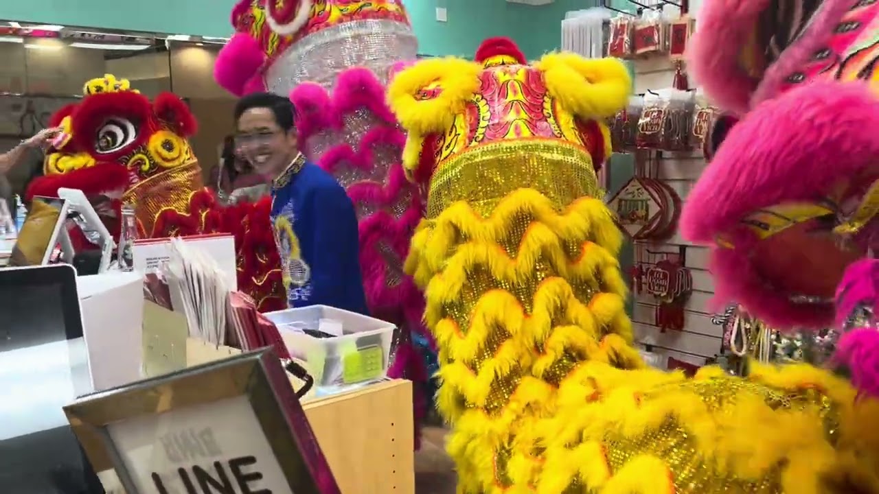 Vovinam Lion dance at Grand century mall 