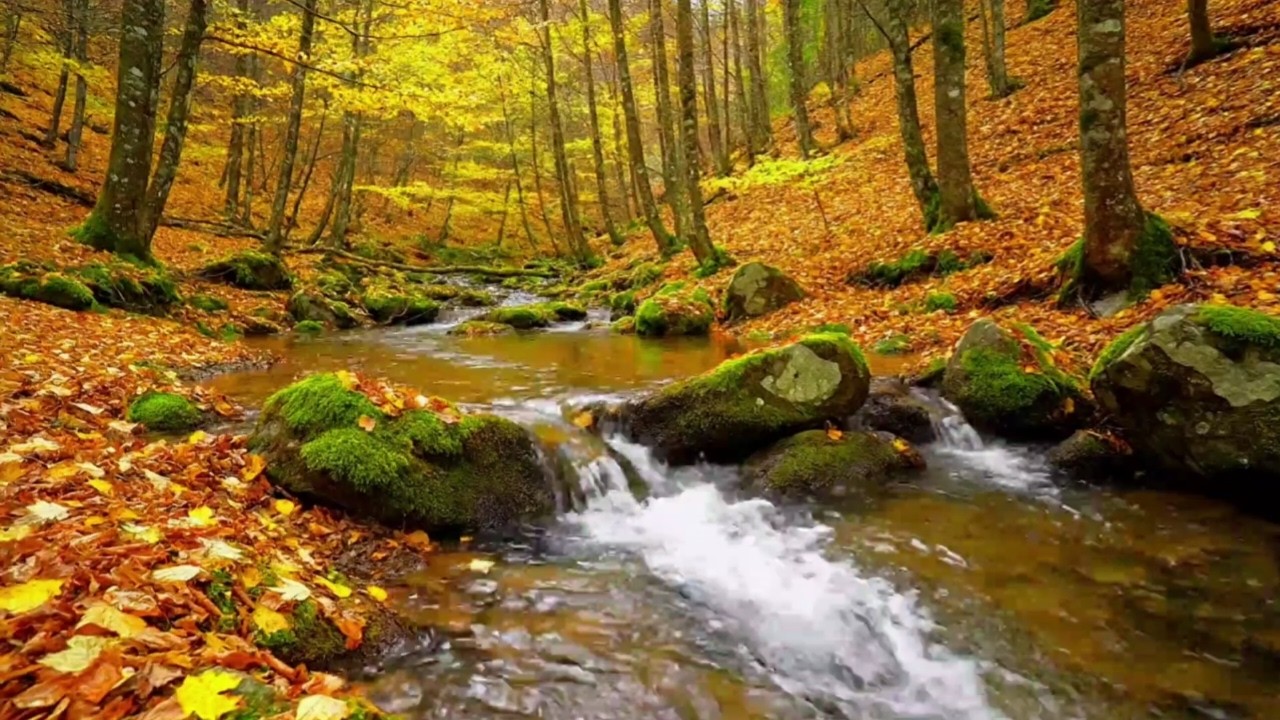 PURE RIVER FLOW SOUNDS FOR SLEEPING FAST, RELAXATION, STUDY AND INSOMNIA RELIEF | NATURE SOUND