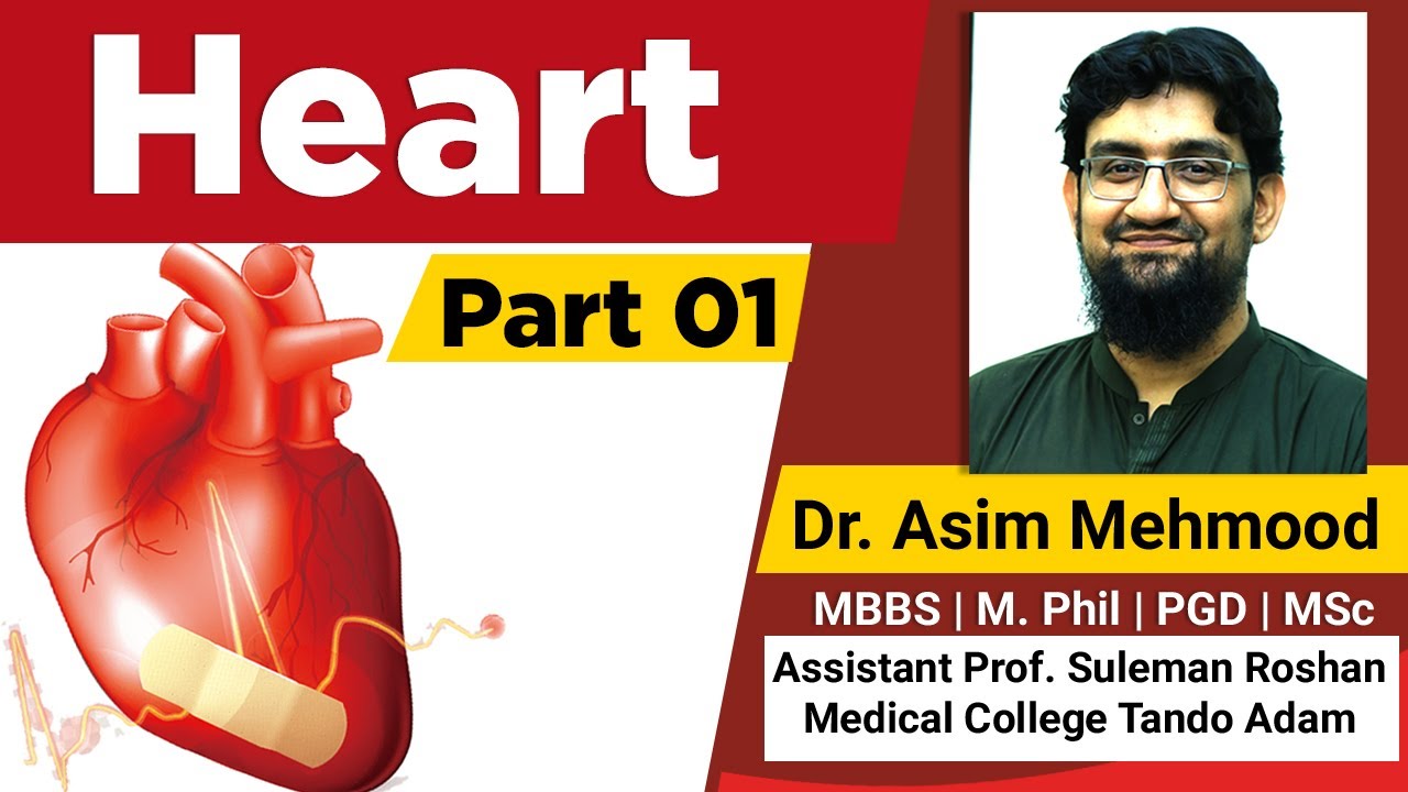 Biology of Human Heart Part 01 ( Hindi / Urdu )