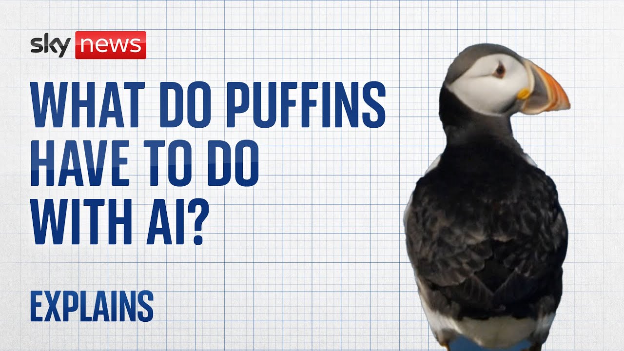 Artificial Intelligence: What do Puffins have to do with AI?