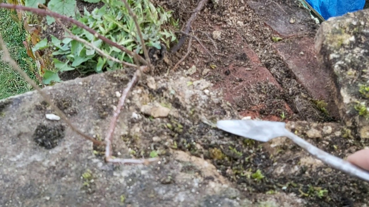 Sandstone repairs, how to prepare the surface