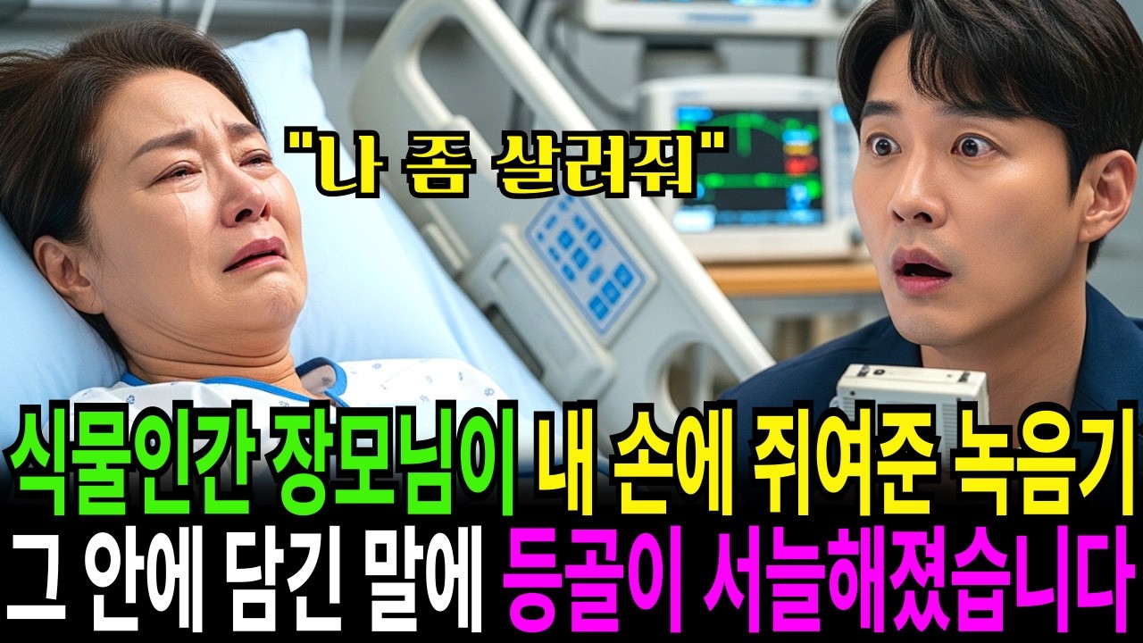식물인간 장모님이 내 손에 쥐여준 녹음기...그 안에 담긴 진실에 등골이 서늘해졌습니다. l 며느리복수 l 사이다복수ㅣ노후사연ㅣ부모자식갈등ㅣ오디오북 ㅣ 인생사연 ㅣ