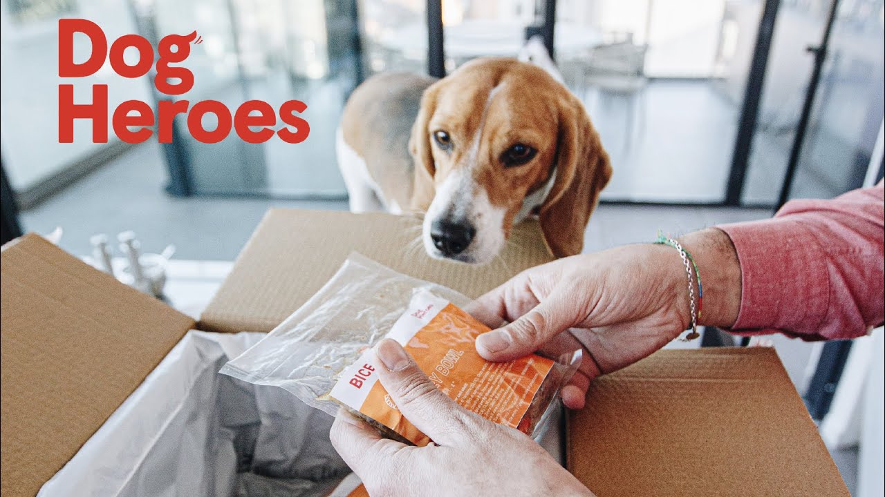 Dog Heroes | Cosa c'&egrave; nella scatola