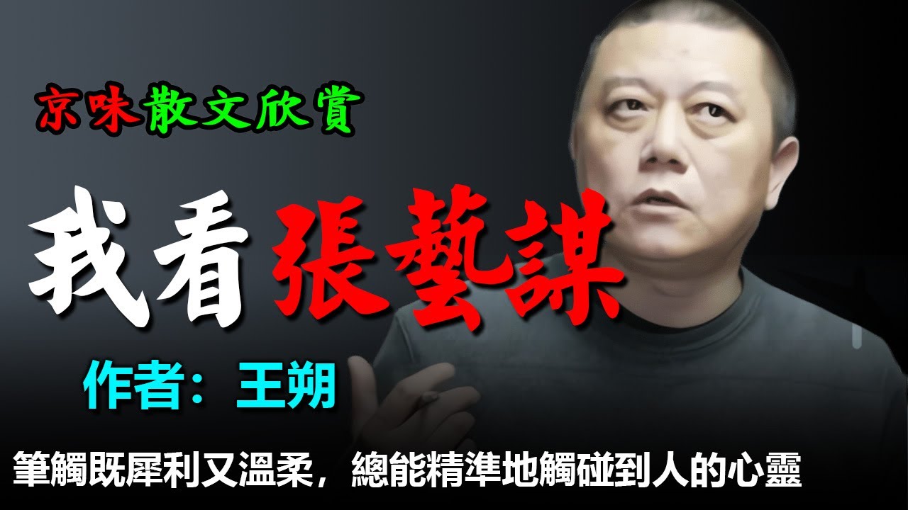 💥王朔的散文欣賞：1.再告某某卫视及各商业媒体，2.痛、病、快乐着（评白岩松）、3.从一个流言说起（评张艺谋）、4.女的是怎样炼成的