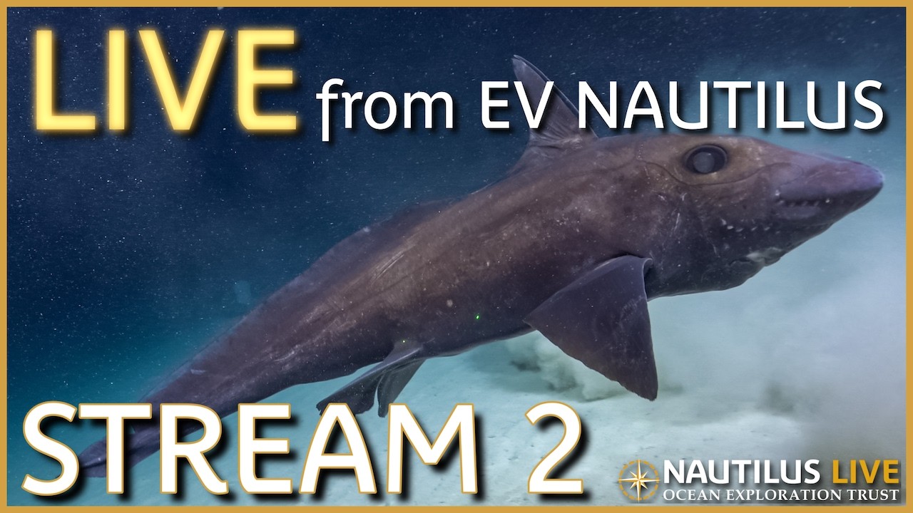Nautilus Live | Channel 2 Stream