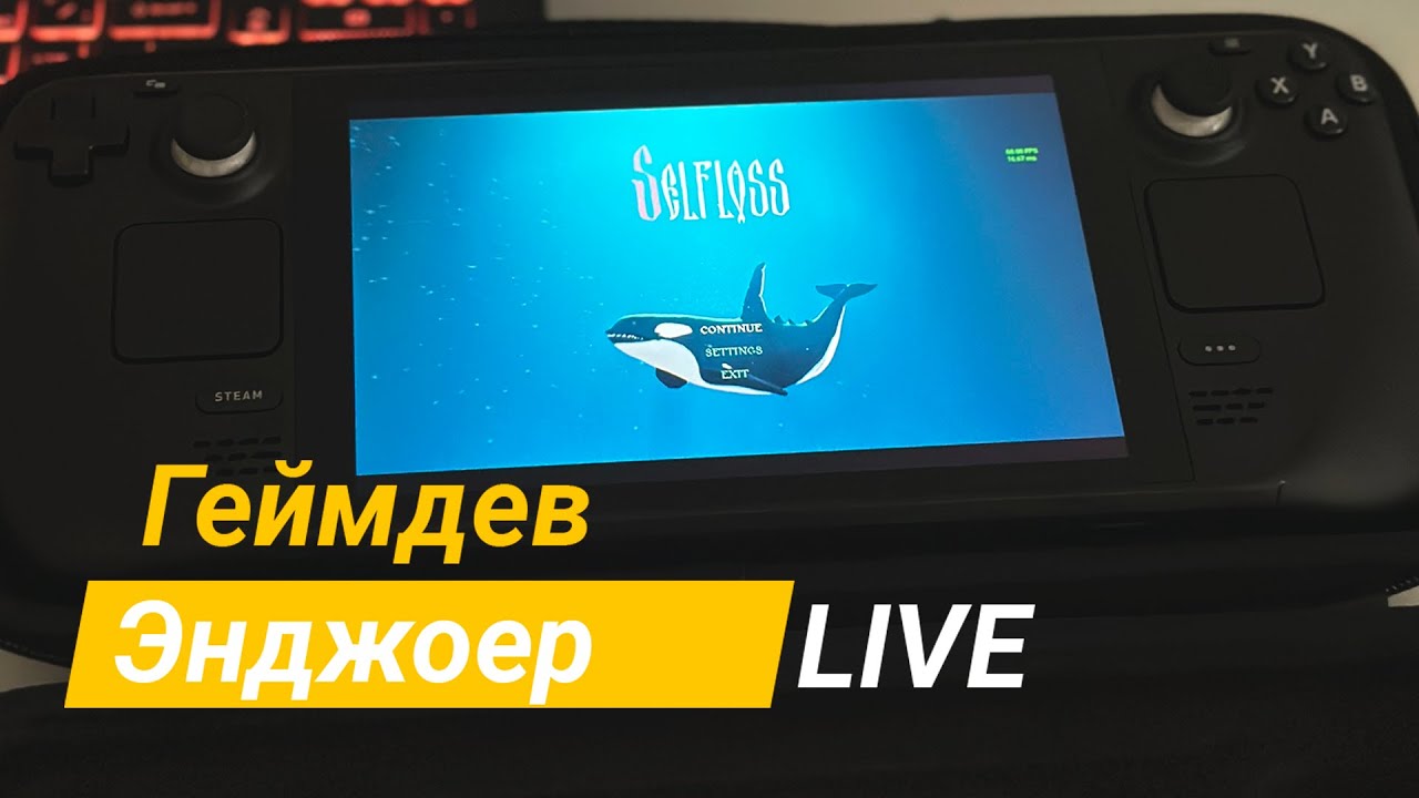 Геймдев Энджоер - Selfloss на Steam Deck, про паблишеров, ответы на вопросы, когда релиз?
