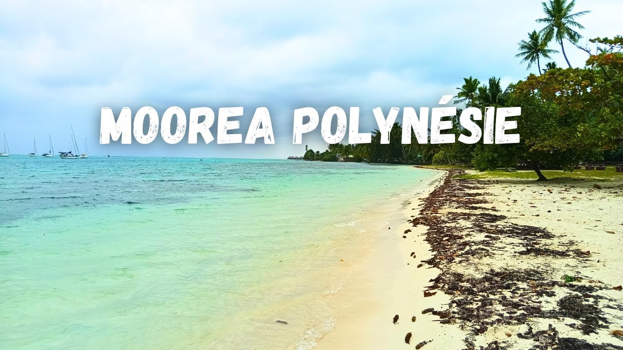 A voir &agrave; faire &agrave; Moorea la belle plage de Ta'ahiamanu en Polyn&eacute;sie