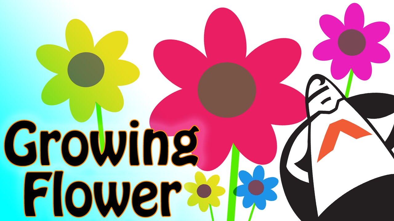 How to Create a Growing Flower Animation with Animatron