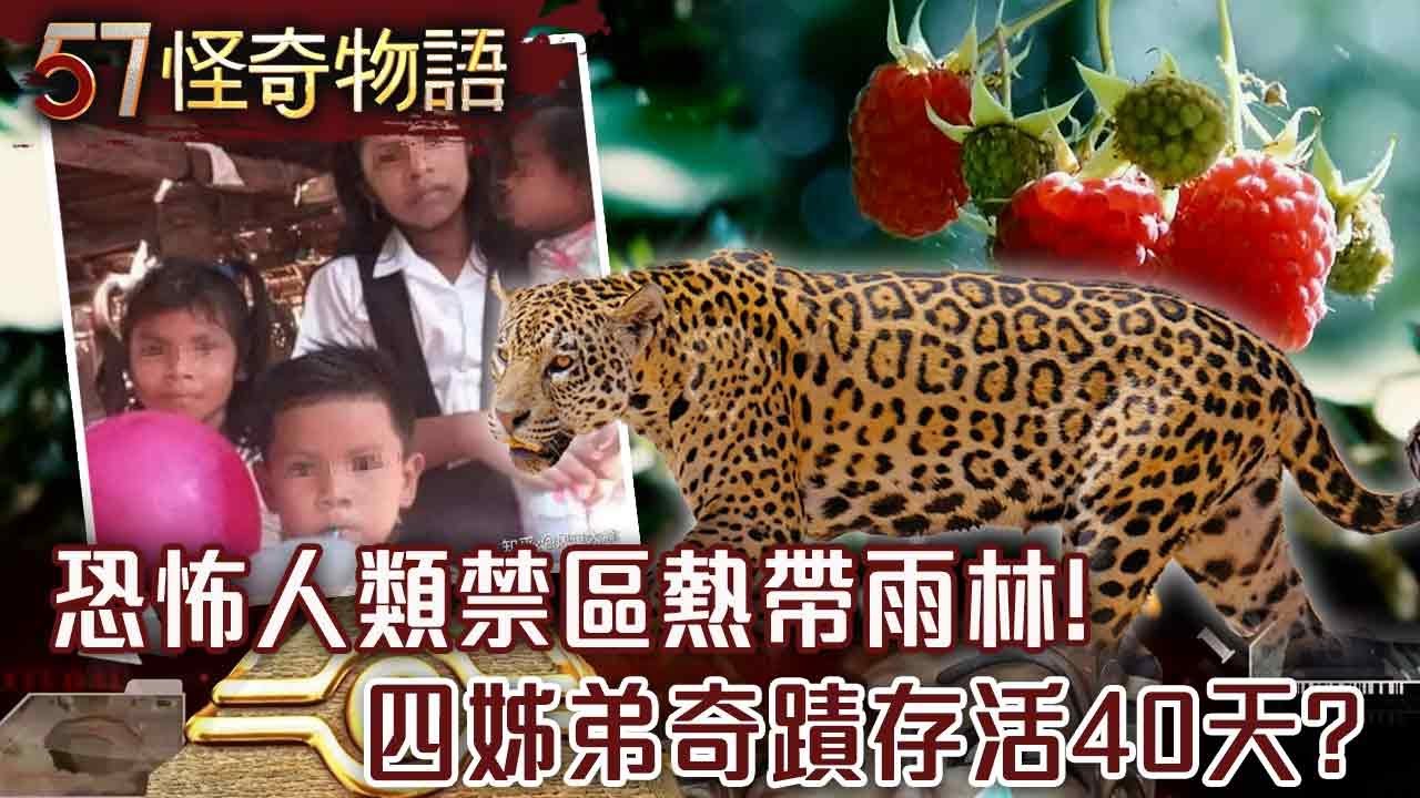 【精選】恐怖雨林！毒果巨蟒美洲豹！普通人活不過3小時？墜機亞馬遜！四姊弟在「人類禁區」存活40天的奇蹟！【57怪奇物語】@57怪奇物語