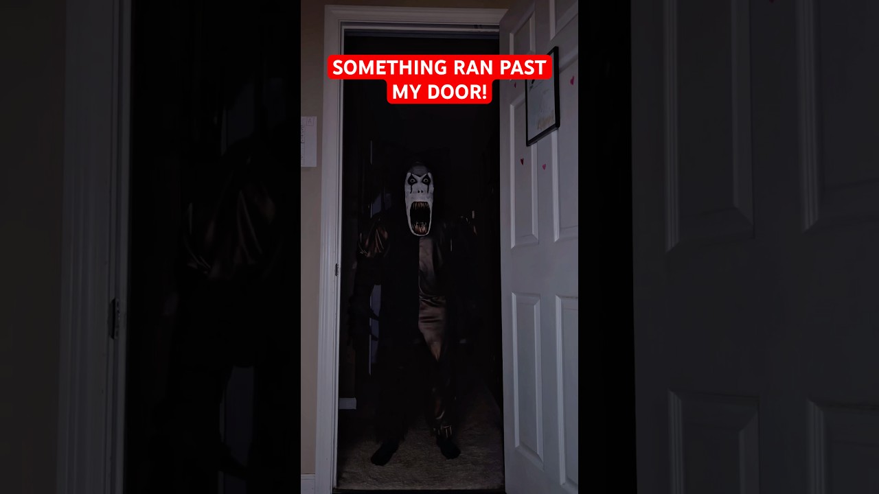 I Swear I Saw Something!! #relatable #scary #horror