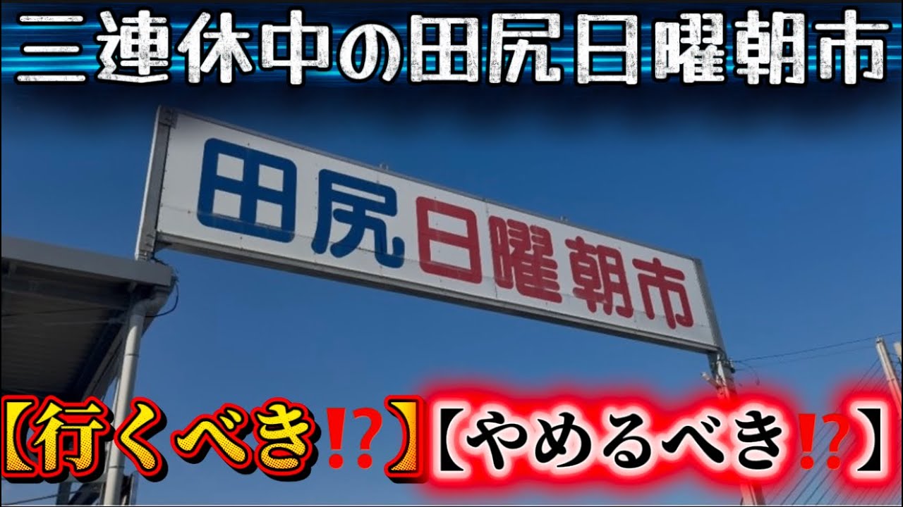 【田尻日曜朝市】連休中の朝市🐟行くべき？やめるべき？人の多さに驚き😳💦