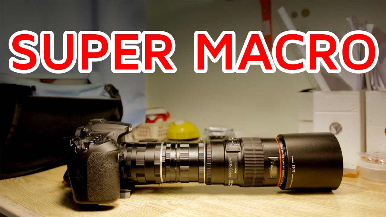 Super Macro! Macro lens + TWO extension tubes!
