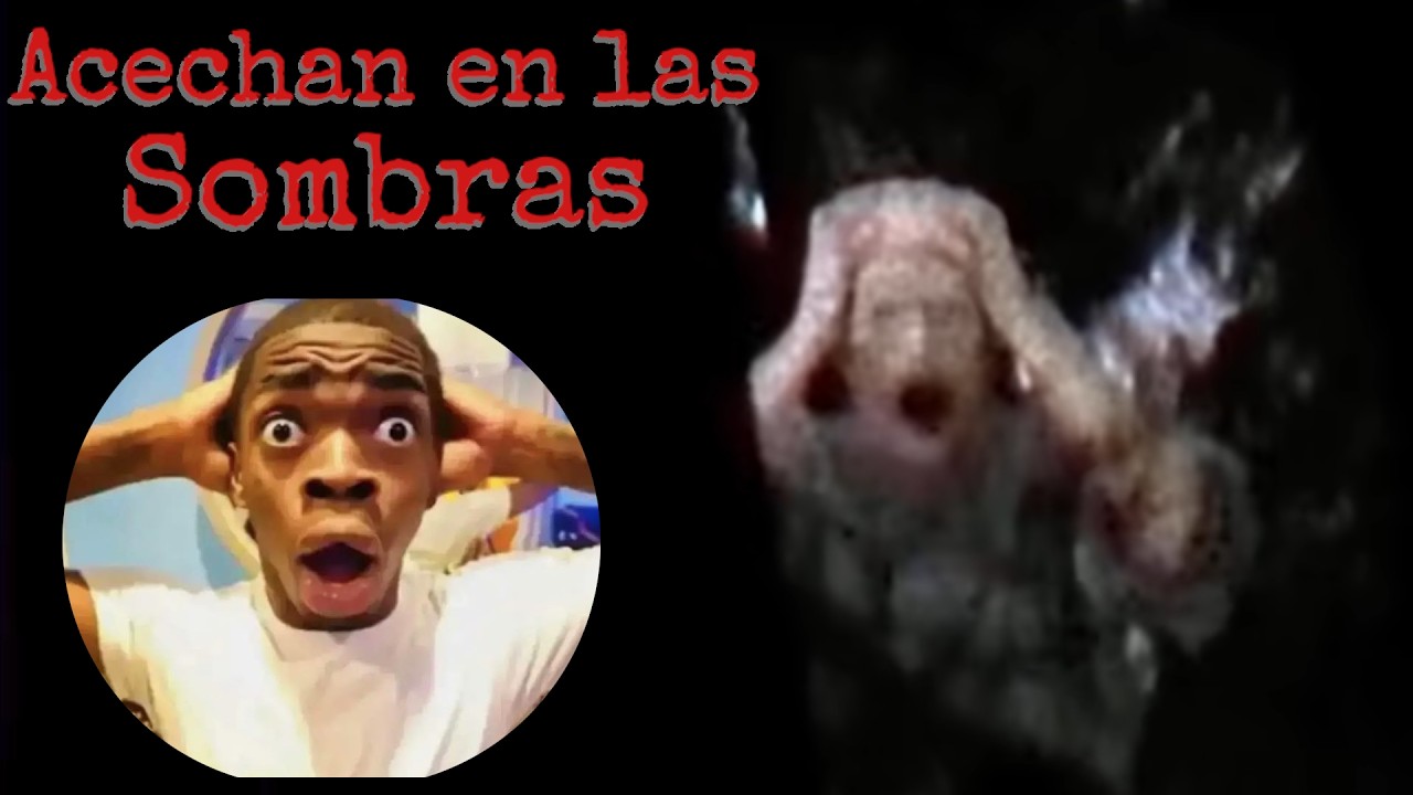 Reaccionando e Investigando un nuevo Analog Horror [Glendale Archives]