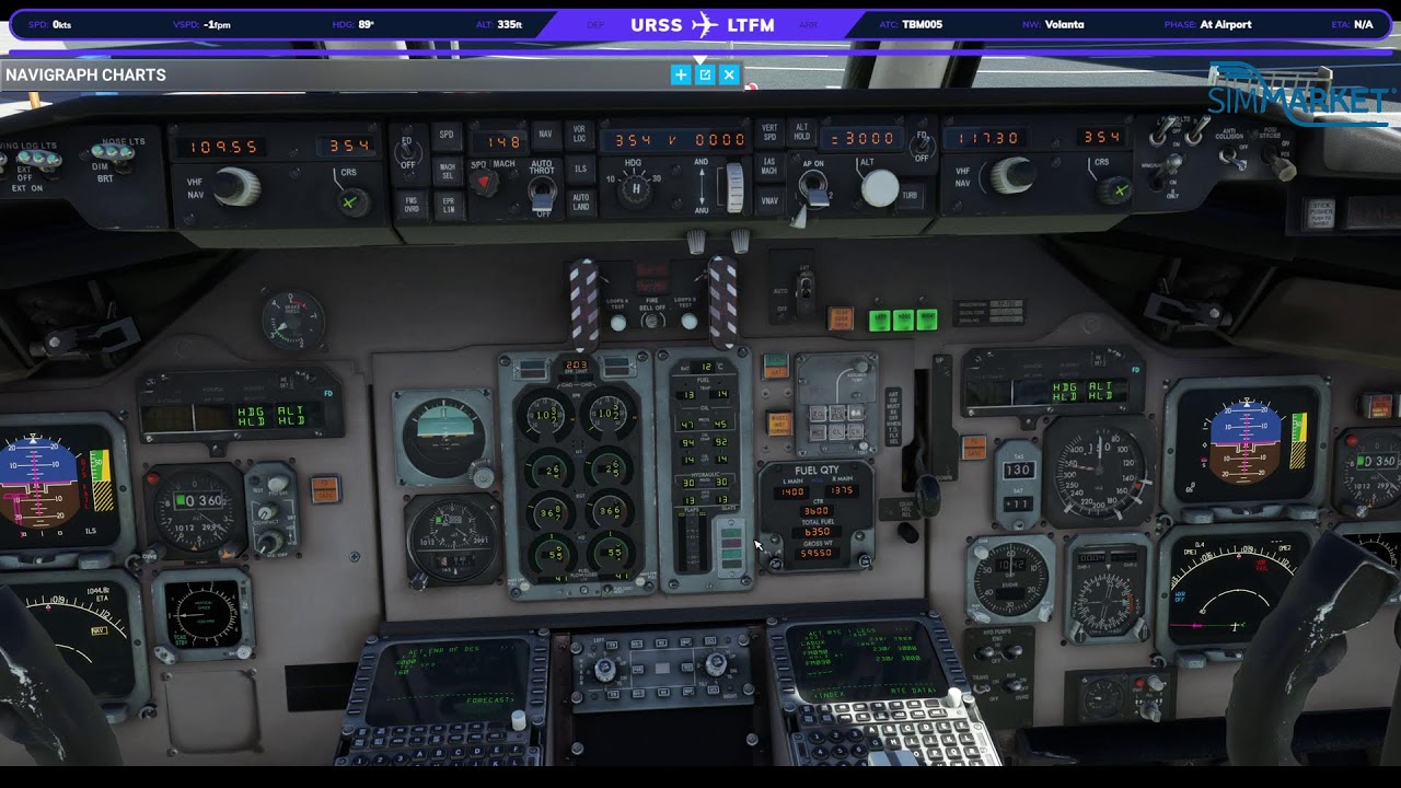 Leonardo MD-88 MSFS2020, Vatsim, FSRealistic, GSX, TBM005, Sochi(URSS) - Istanbul(LTFM)