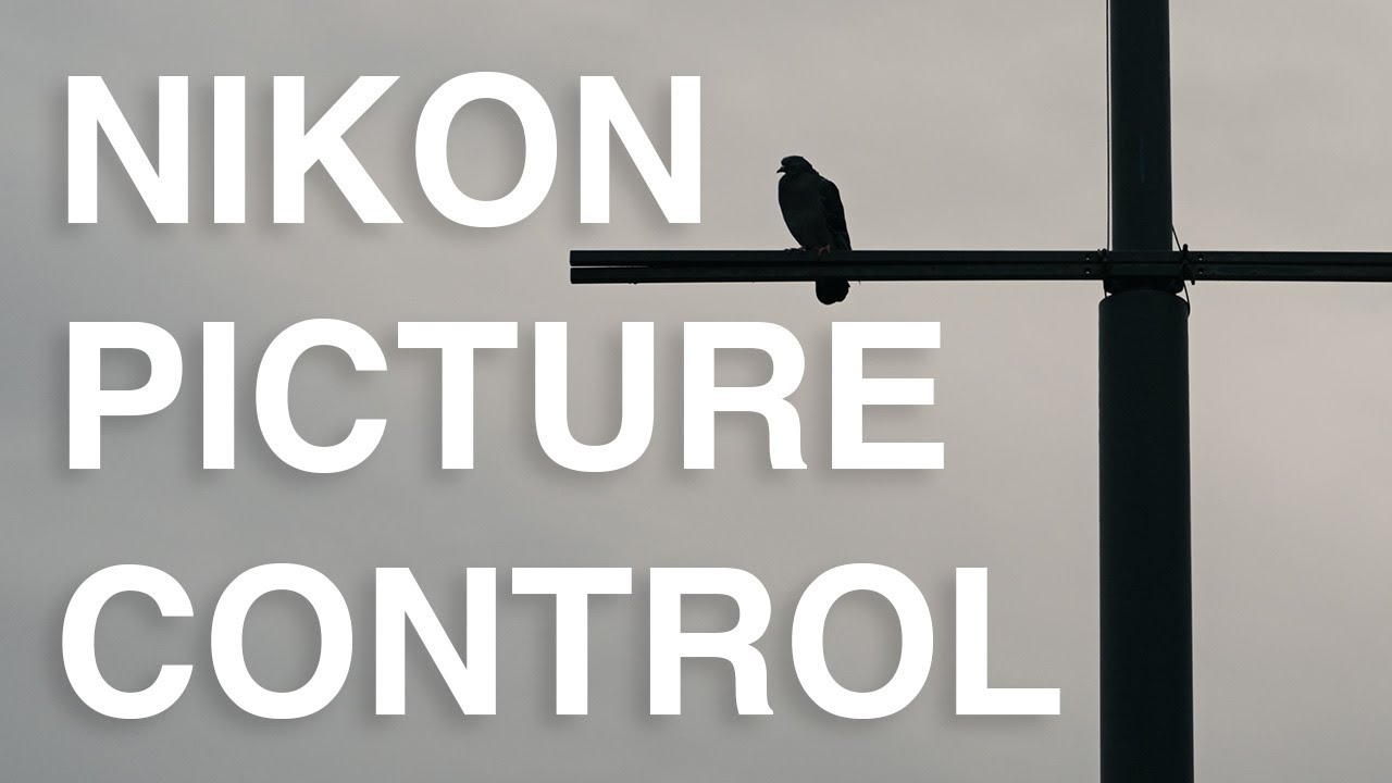 Хорош ли Nikon Picture Control?