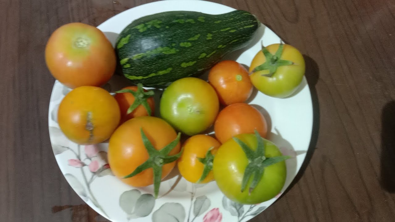 New harvest from my garden