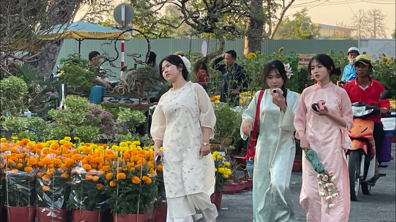 QUÁ KHỦNG CHỢ HOA TẾT CAO LÃNH TẾT 2026- VẠN THỌ SIÊU BÔNG TO ĐẸP RỰC RỠ GIÁ RẺ