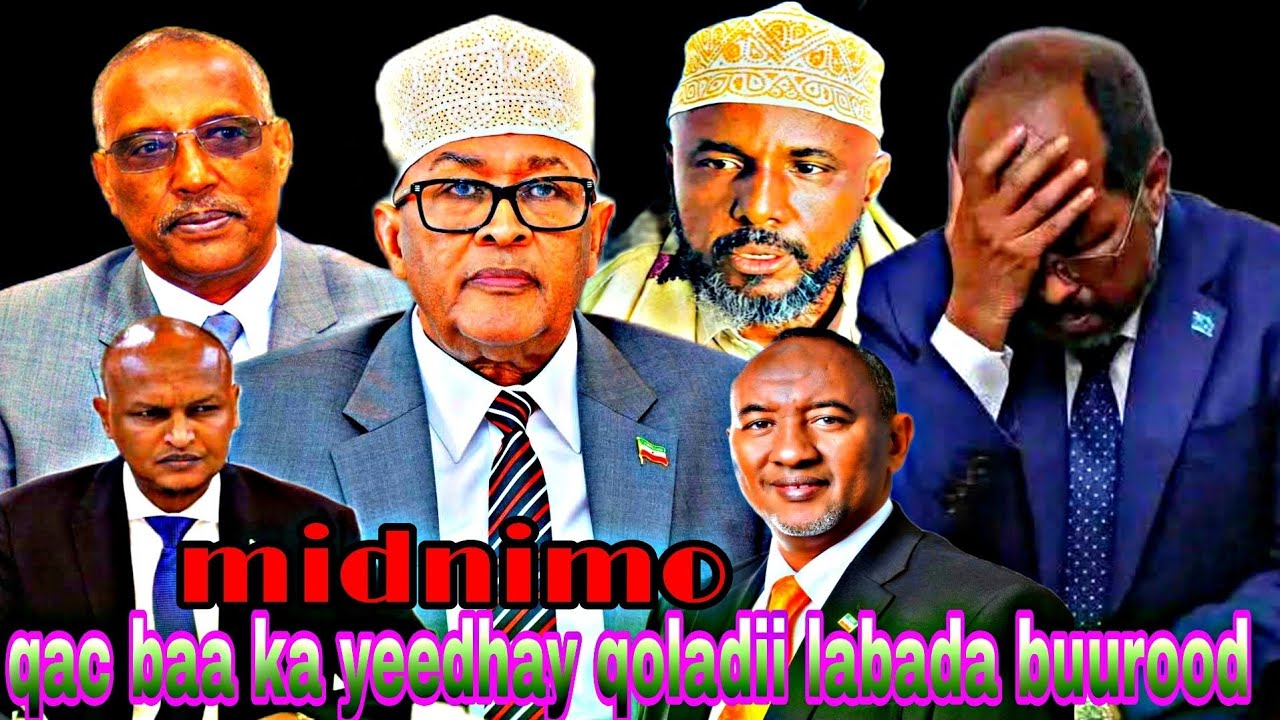 QACDA KA YEEDHAY S/LAND DIIDKII OO DABADA LAGASOO LAADAY MARKII LAGASOO DHAANSADAY & QAYLADA GARACII