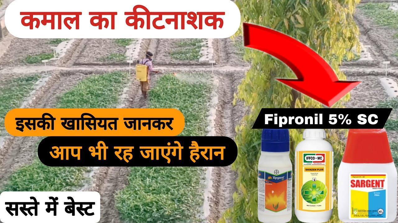 बाहुबली कीटनाशक fipronil 5% sc | regent bayer | surgent insecticide | #drpunitshishodia