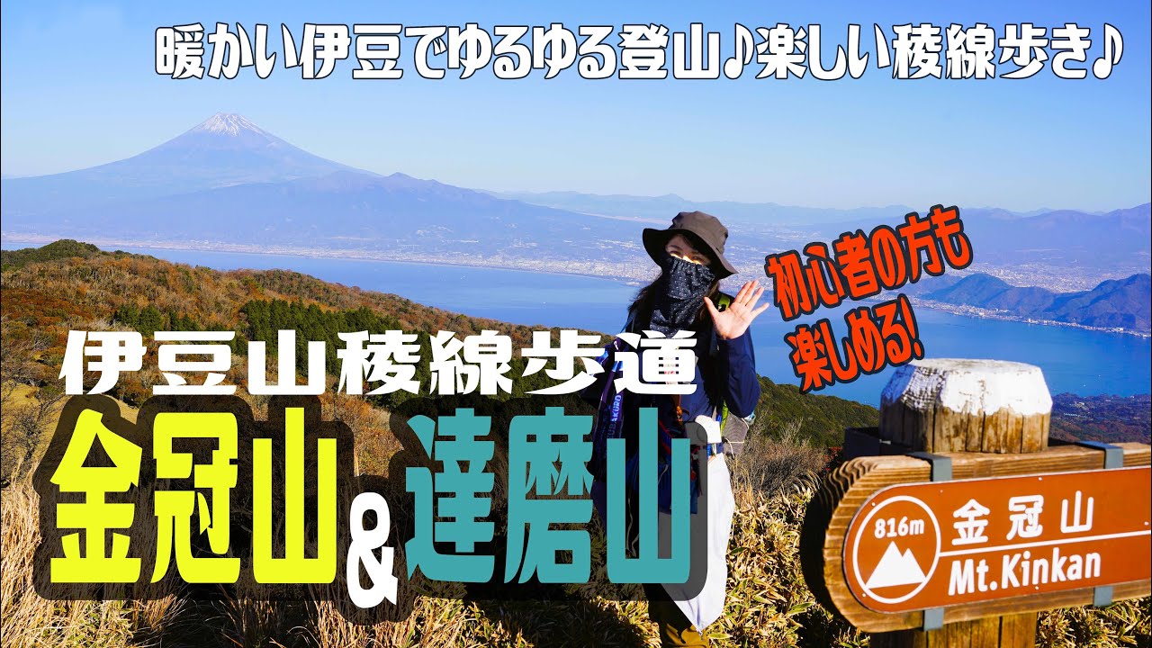 【登山】伊豆山稜線歩道をスルーハイク。人気の金冠山と達磨山。伊豆の絶景な稜線歩き✨寒い季節はやっぱりココが最高です♪2023.12.10