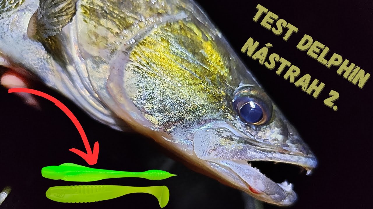 Lov zubáča na prívlač 🎣Delphin nástrahy 2 🐟