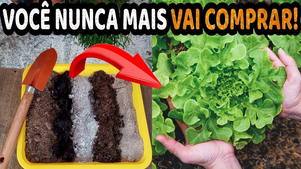 Como Fazer um Substrato Org&acirc;nico em Casa Sem Gastar Nada