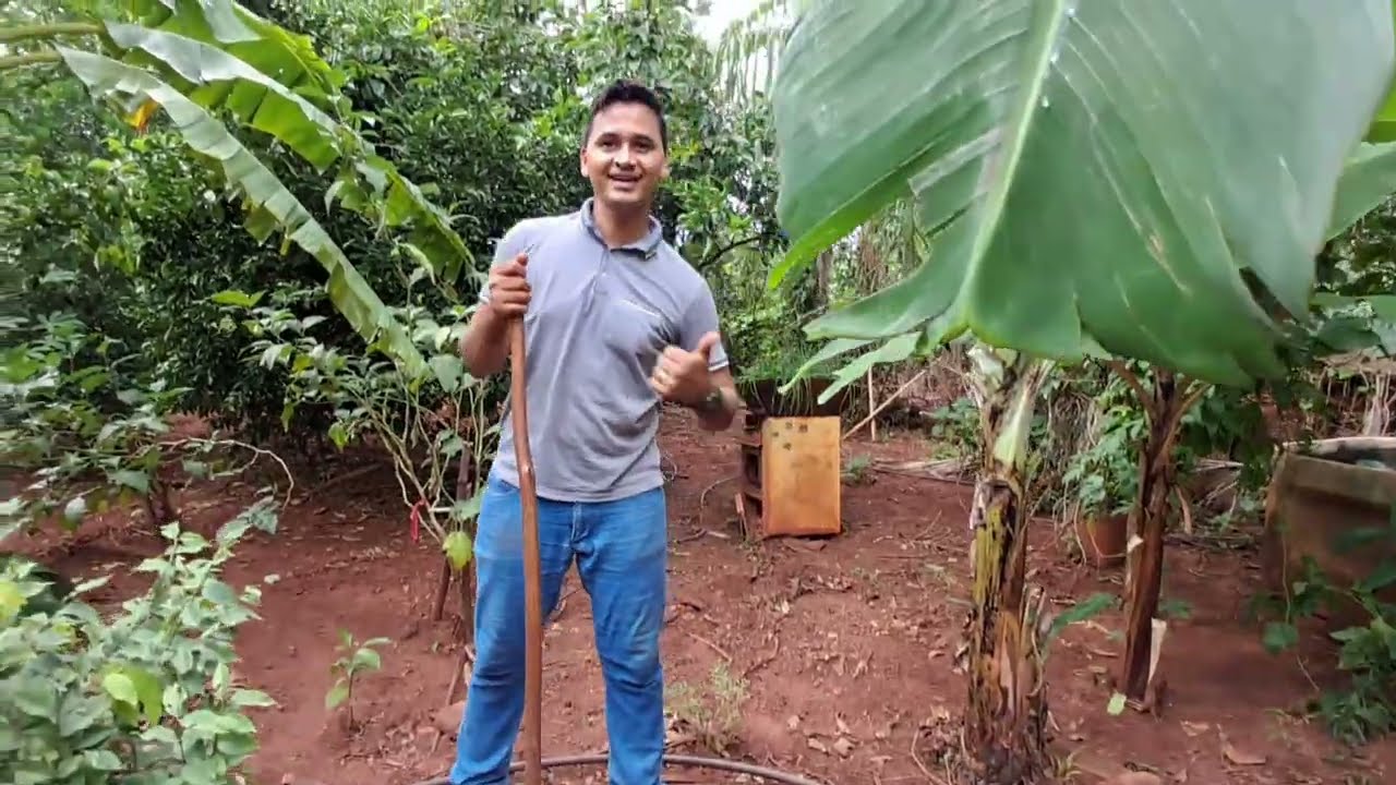 Dia de plantação no sítio Bom Jesus. Parte 2