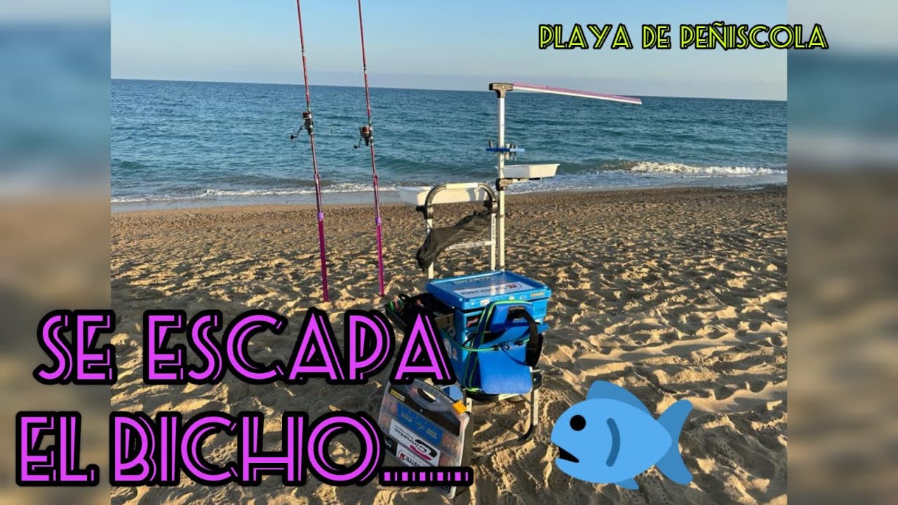 Surfcasting en Peñiscola. “Se escapa el bicho”