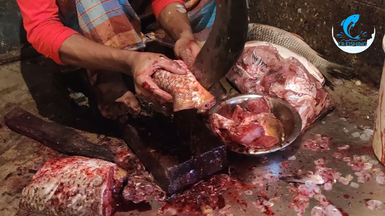 Orange Carp Fish Cutting In Fish Market  Gravid Fish Cutting Skills | TR Fishing
