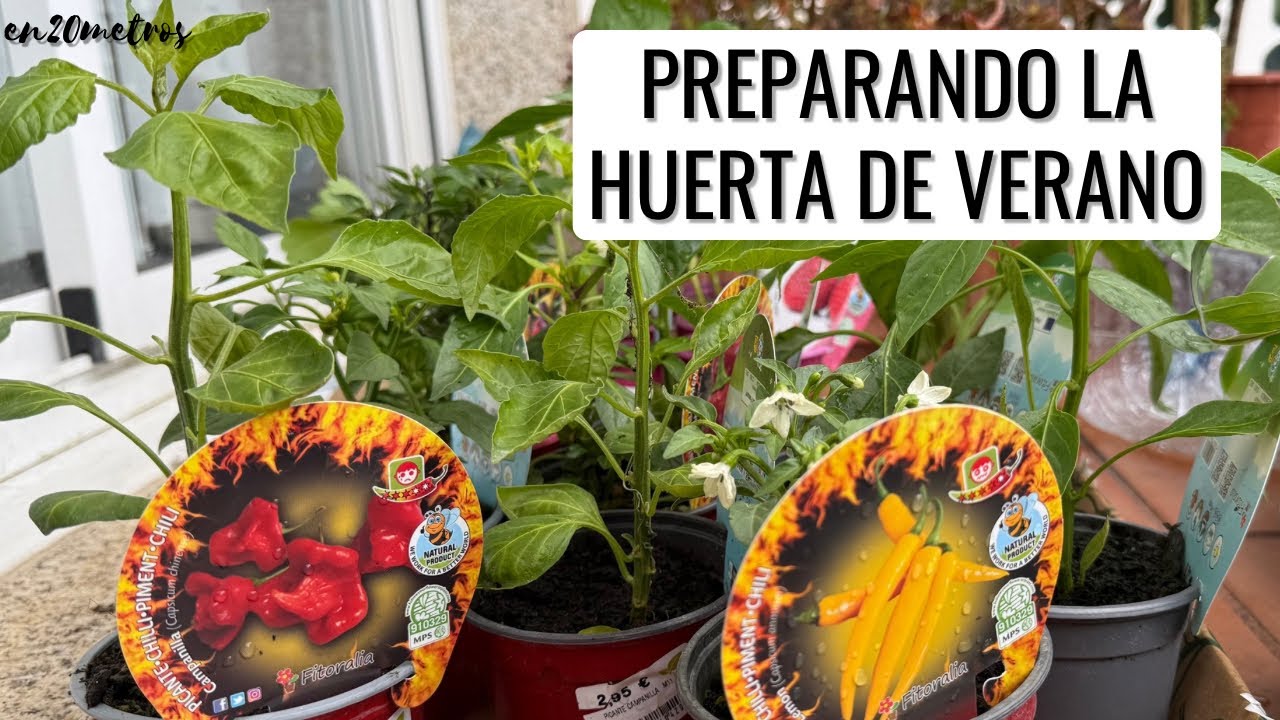 PLANTELES Y SEMILLEROS PARA LA HIERTA DE PRIMAVERA-VERANO