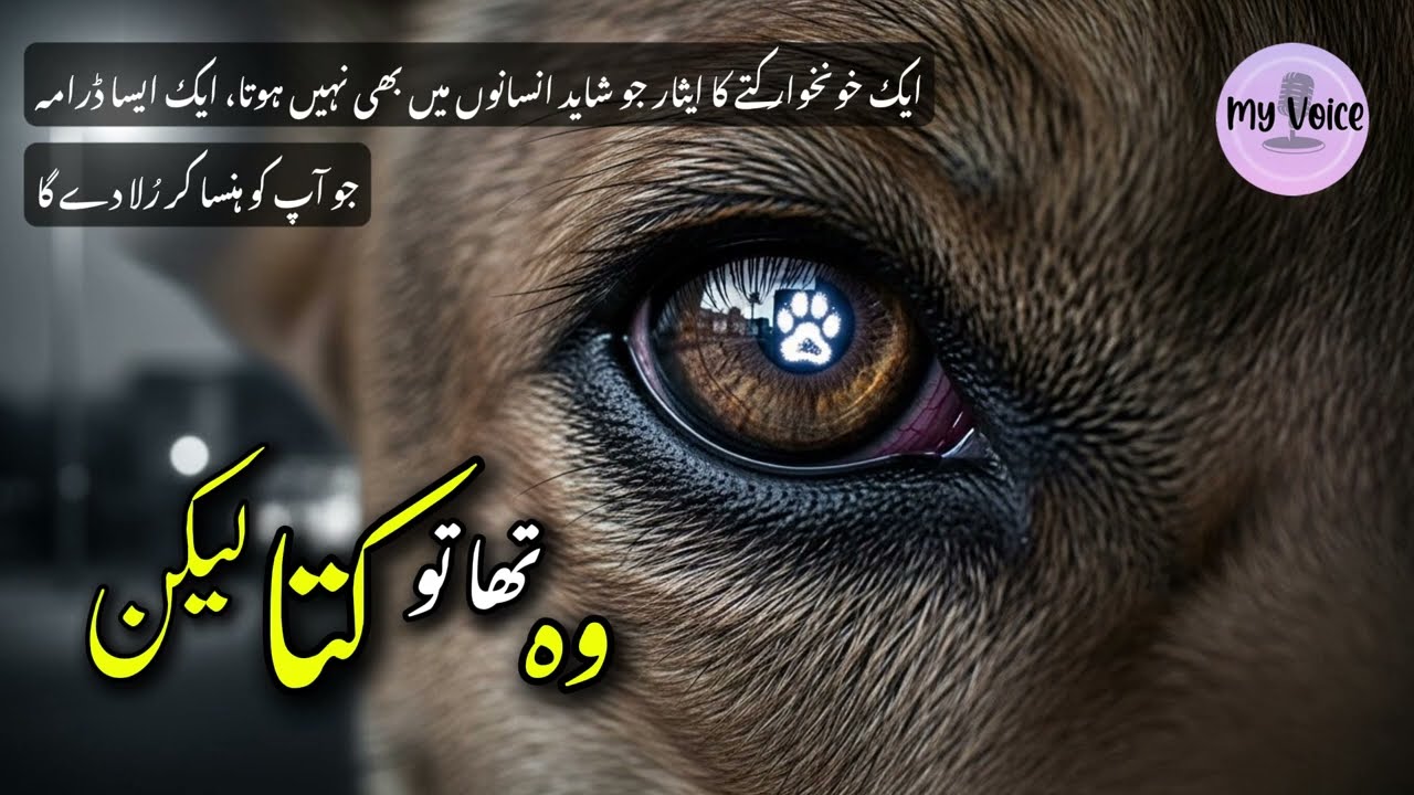 Woh Tha To Kutta Lekin – Thrilling Hunting Story | Sabir Hussain Rajpoot Story