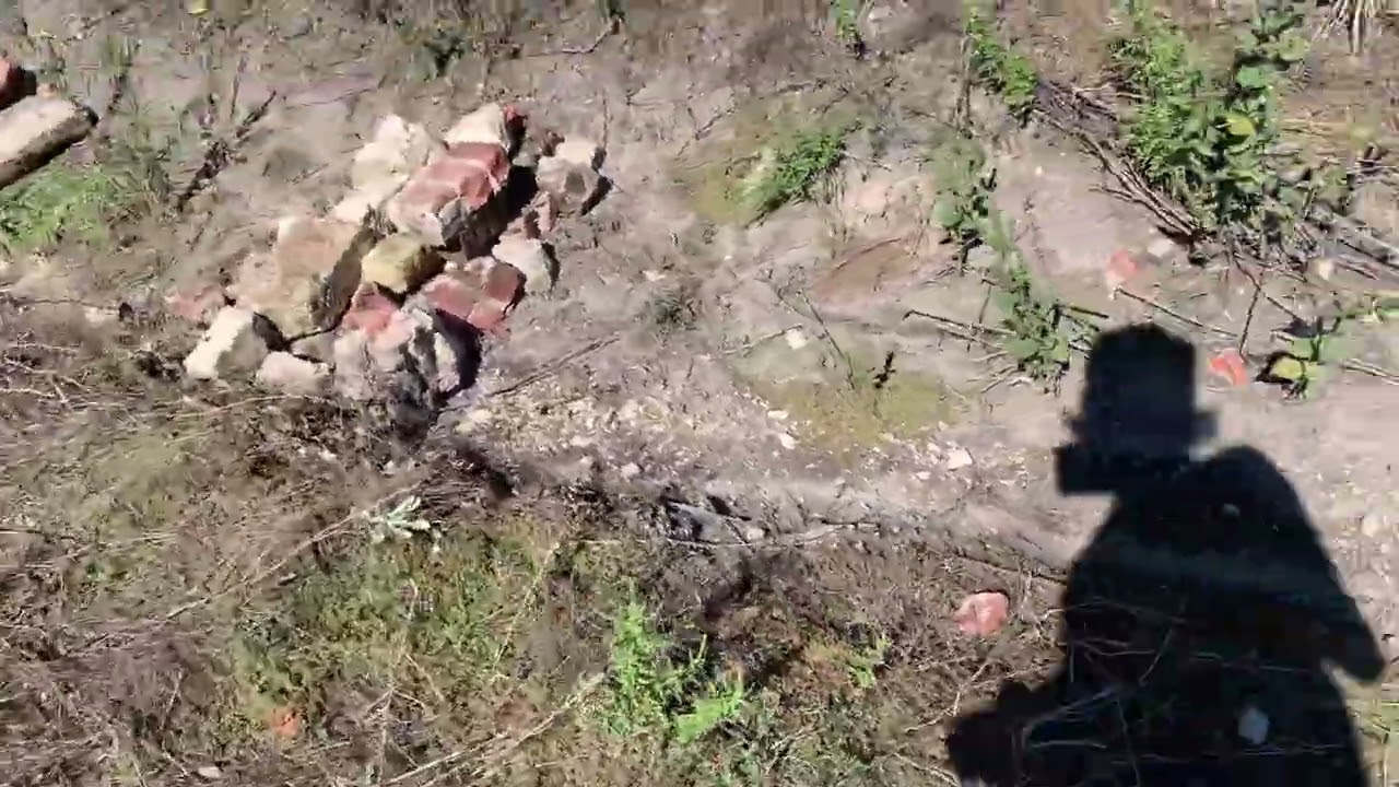 More small erosion control in the gully - November 2, 2023