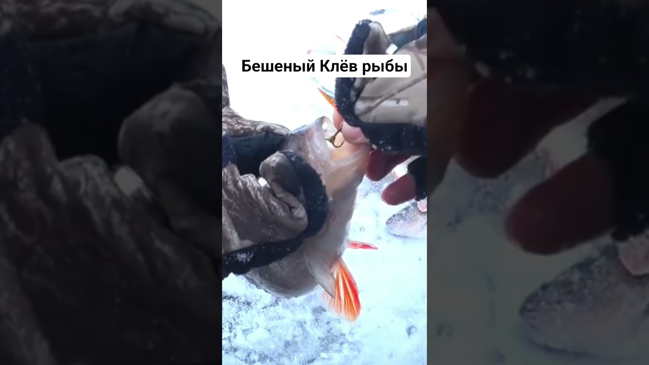 #рыбалка