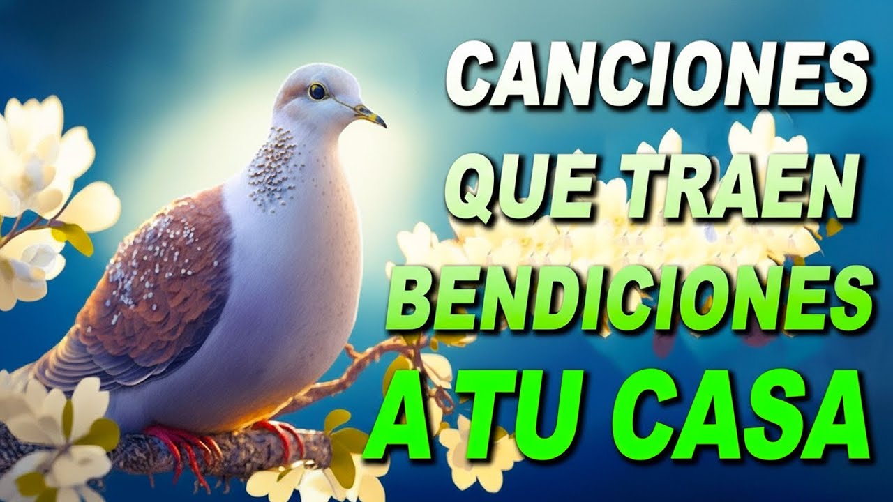 Musica Catolica De Alabanza Y Adoracion 2025 | Canciones Catolicas de Alabanzas Y Adoracion