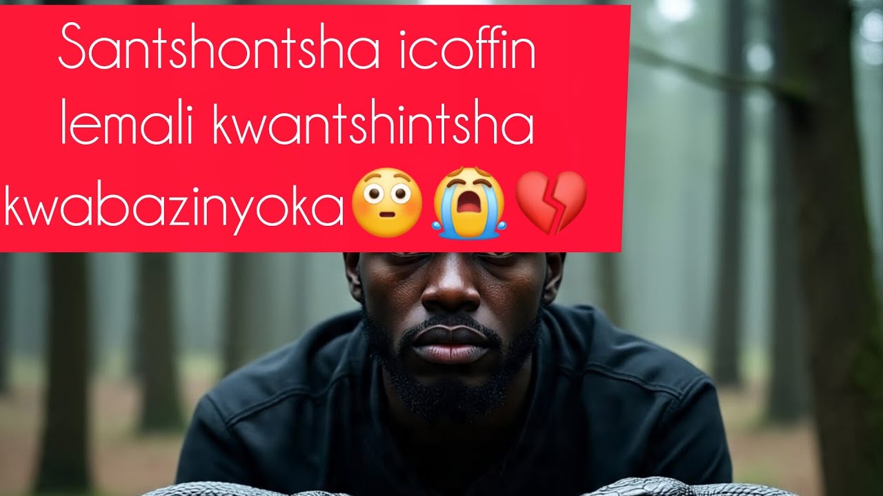 Santshontsha icoffin lemali kwantshintsha kwaba zinyoka E15