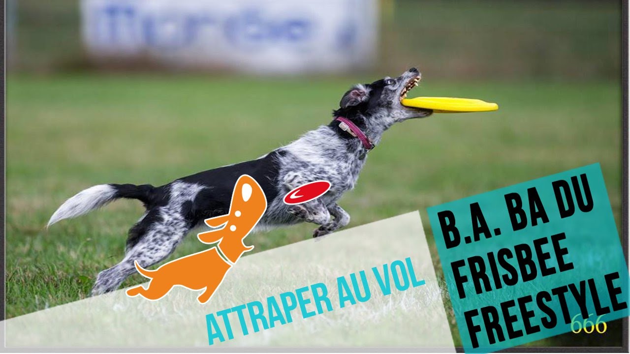 Le B.A BA du frisbee : attraper au vol