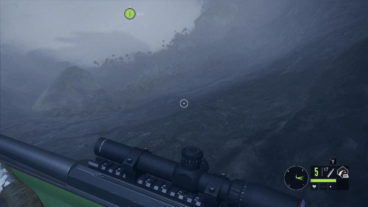 theHunter: Call of the Wild. 😁 Ours albinos