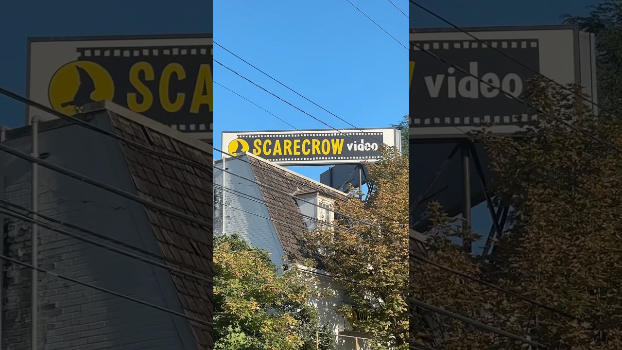 A Blockbuster Year at Scarecrow Video 