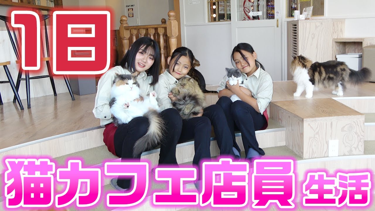 【24時間】誰が1番猫さんのお世話を上手にできる？？1日猫カフェ店員生活やってみた結果・・・【1日職業体験】