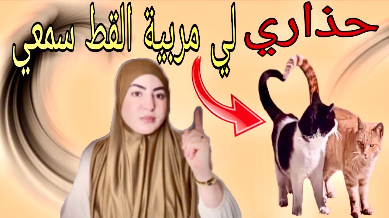 الموضيع اليوم كثير من تعبير والعبرة سمعو شنو كيدوزو خوتاتنا😭علاش هذاشي عيب وحشومة❌