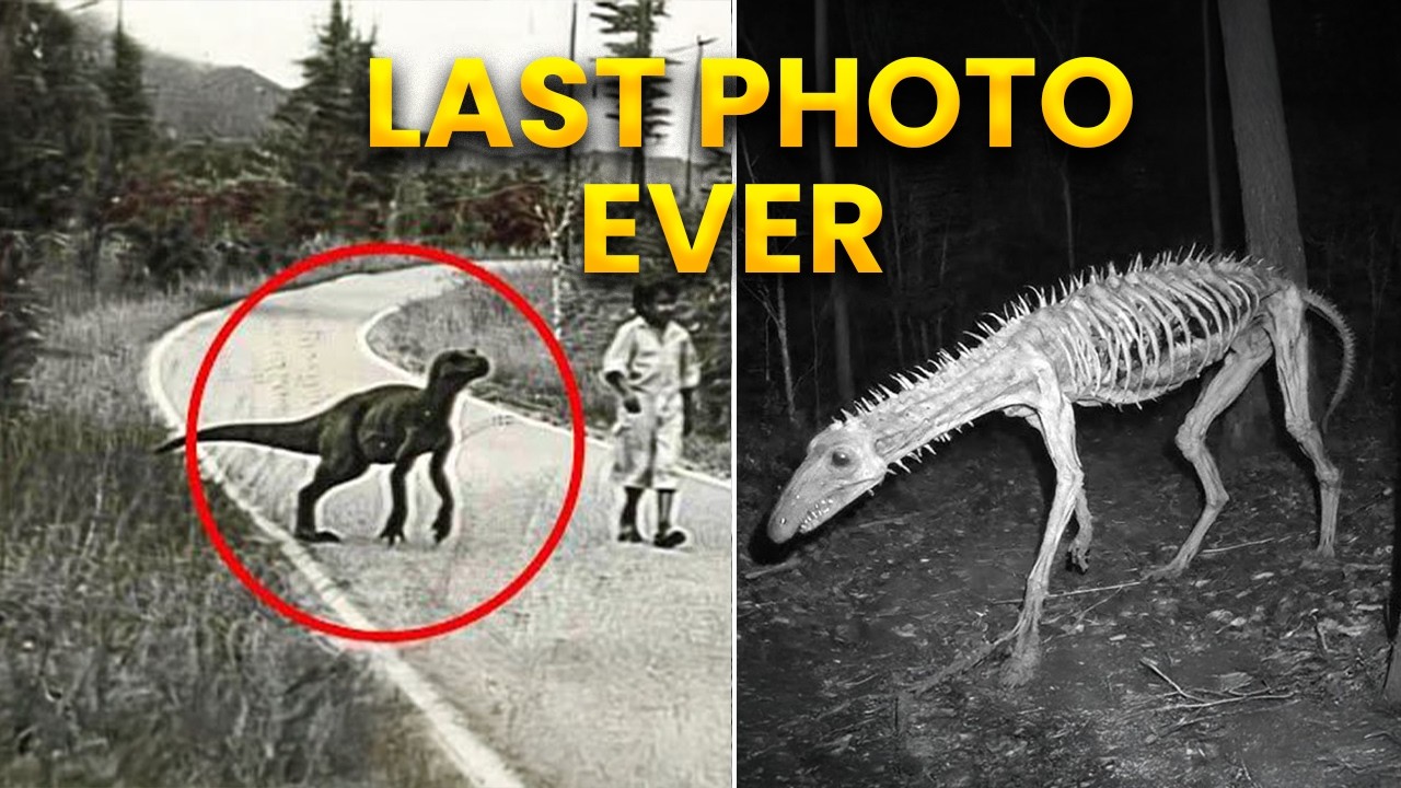 7 Last Photos of Extinct Animals Ever Taken | part 2