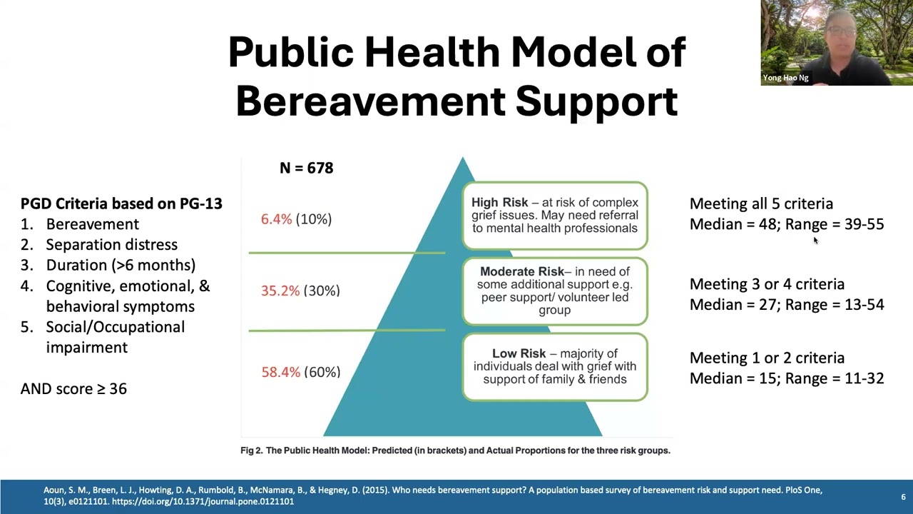 Public Health Model of Bereavement Support 14 Years On: Use, Misuse, and Opportunities