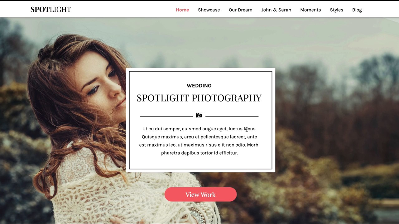 Wp Theme Ultima Review and Bonus | WP Theme Ultima Demo