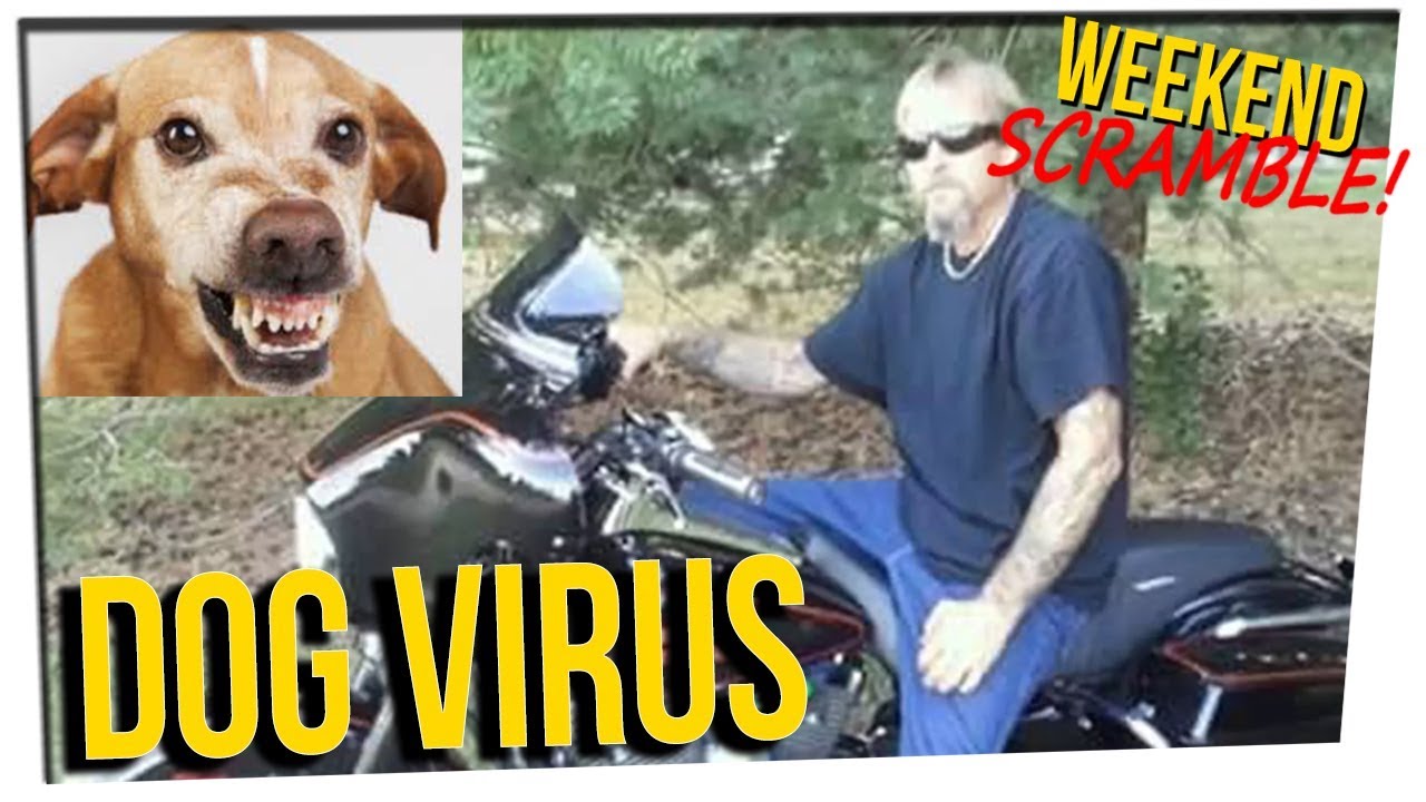 WS - Man Lost Limbs After Dog Licks ft. Sam Tripoli & DavidSoComedy